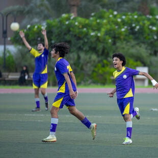 تعليم بريطاني بأعلى مستوى - 06 - Feature Cards Pattern