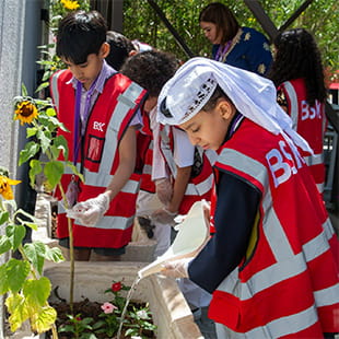 الموارد الأساسية لأولياء الأمور | المدرسة البريطانية بالكويت - 03 Feature Cards