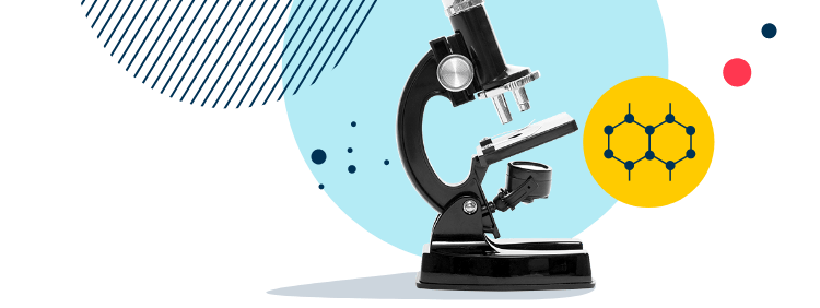 The British School of Kuwait | Premium British Education - Image-50-pattern